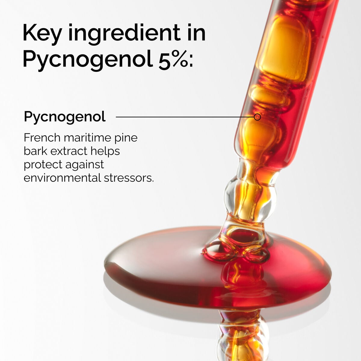 pycnogenol-5-s6 FY25-D41247-ORD-Web-PDP-Pyc-5pct-1x1-EN-2a.jpg