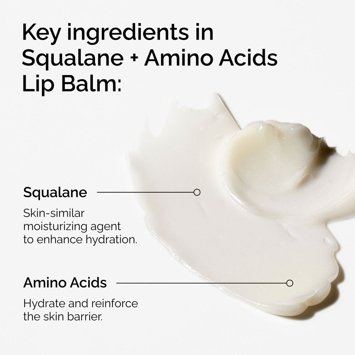 squalane-amino-acids-lip-balm-j8 FY25-D41247-ORD-Web-PDP-Sql-Amino-Lip-1x1-EN-2a.jpg