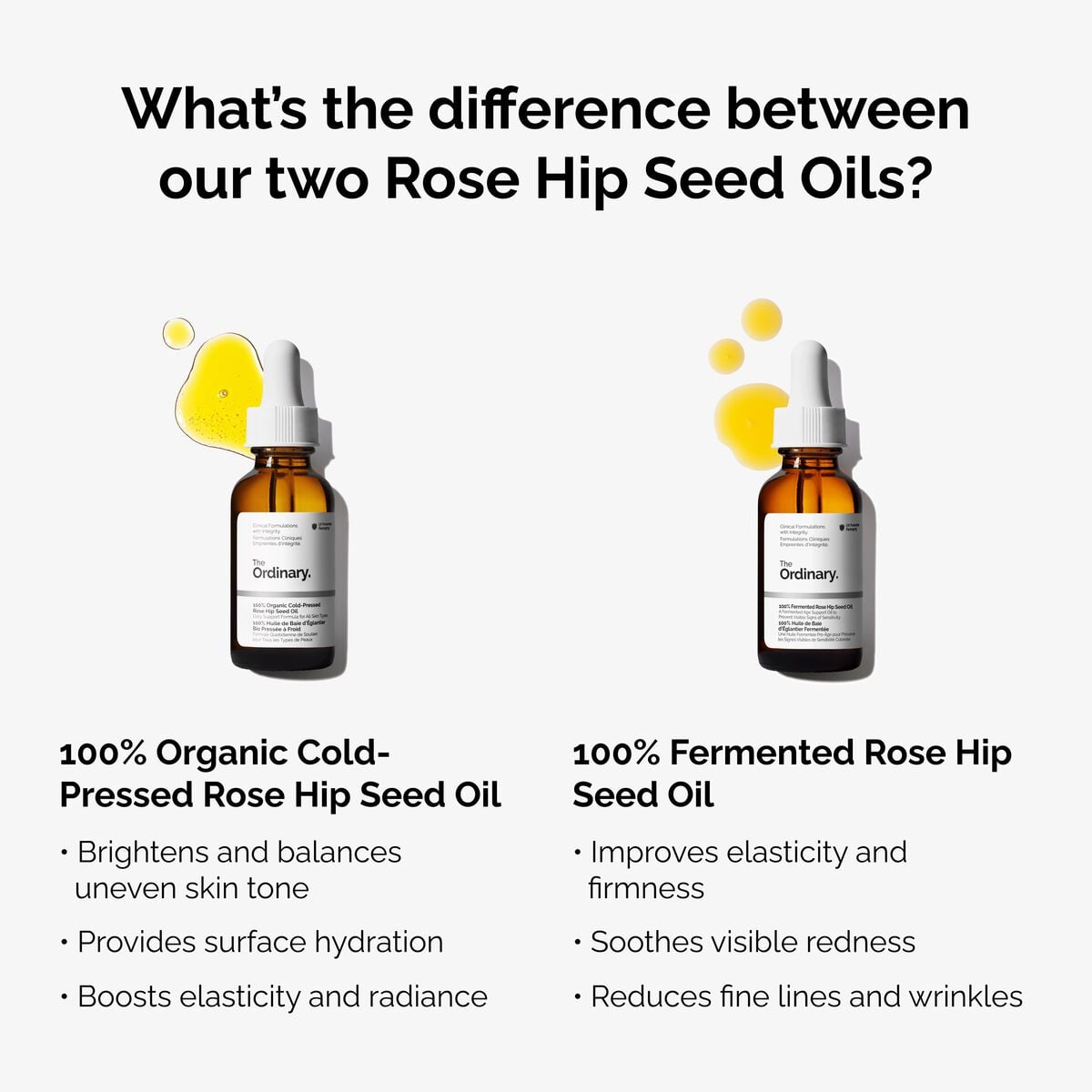100-fermented-rose-hip-seed-oil-y5 fermented-rose-hip-vs-organic-rose-hip-graphic.jpg