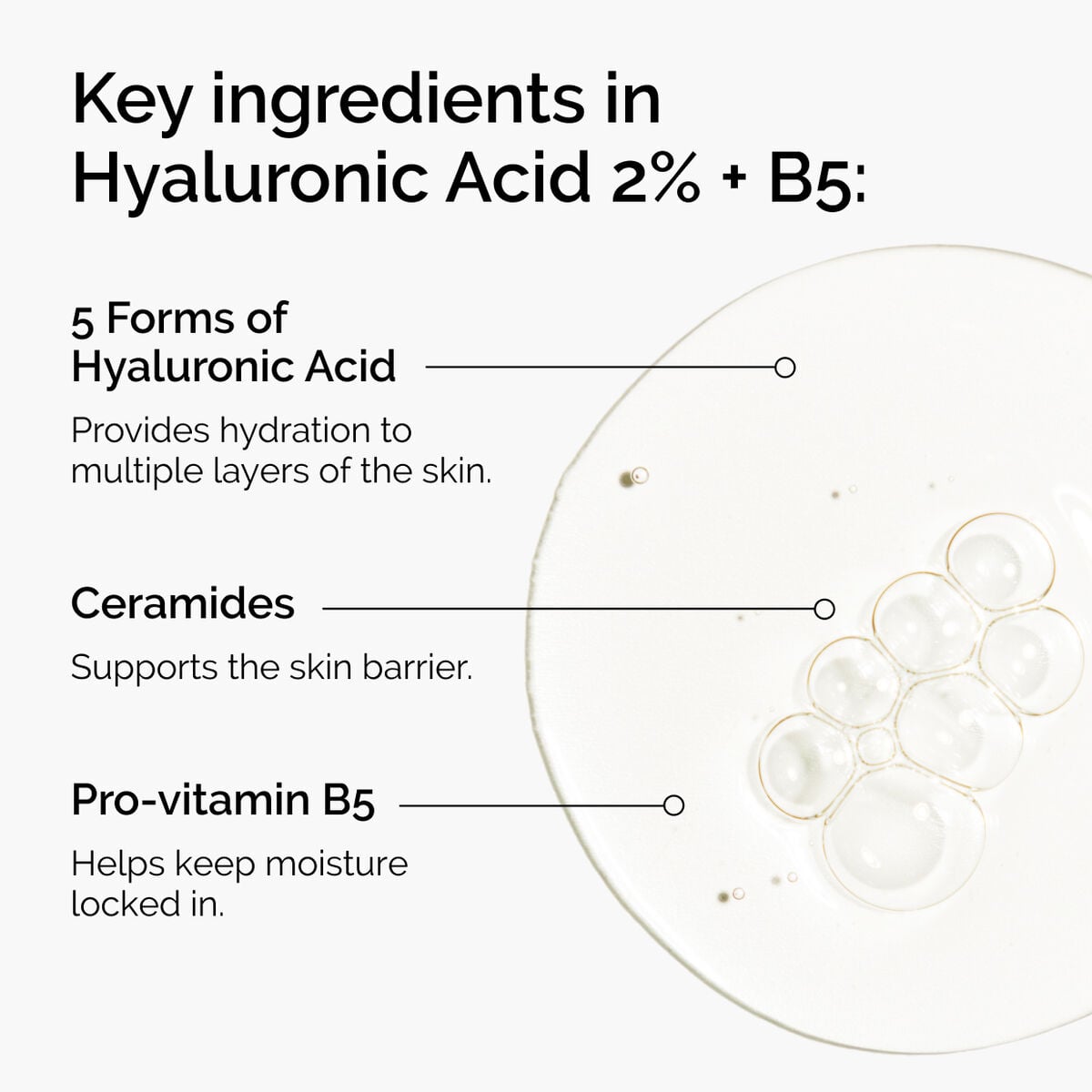hyaluronic-acid-2-b5-with-ceramides-r2 ord-hyaluronic-acid-2pct-b5-hydrating-serum-ingredients-graphic.jpg